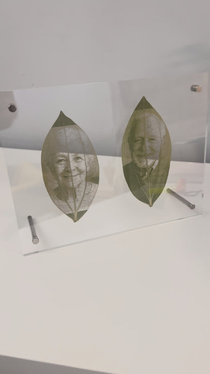 Acrylic Framed Laser Engraved Leaves